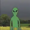 rkqkd0100