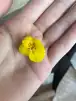Я это кто то