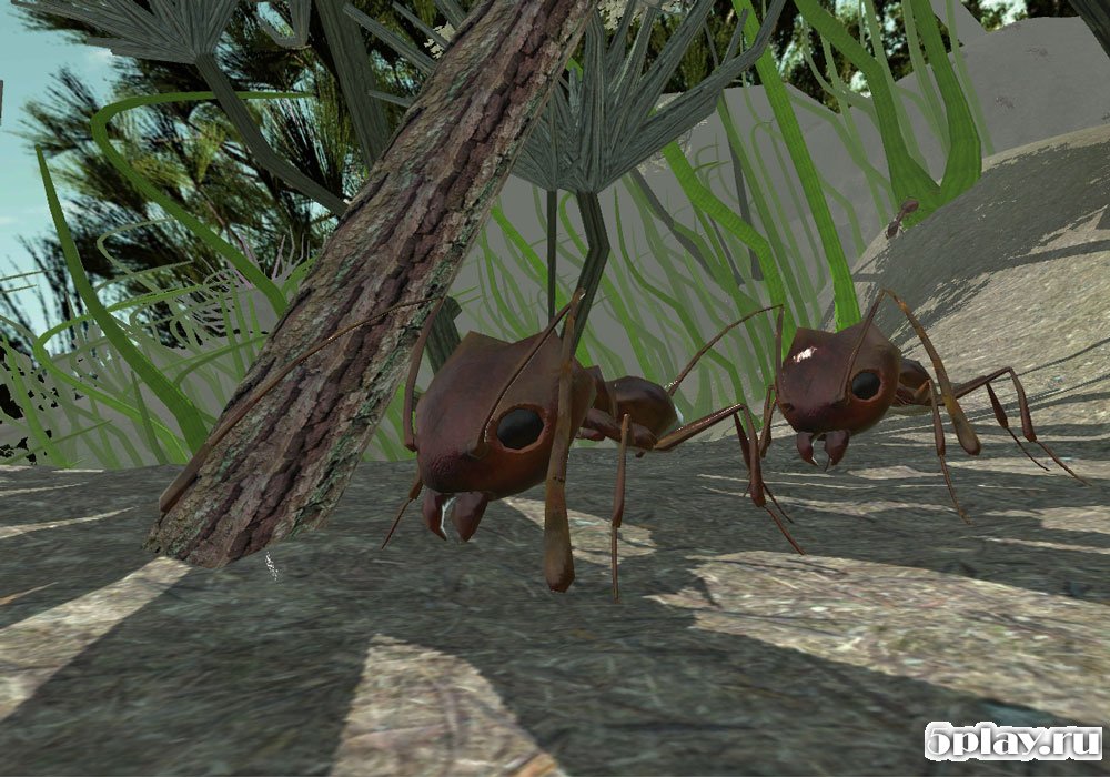 Игра симулятор муравья. Ant Simulation 3d. Игра про муравьев. Симулятор муравьев игра. Игры муравьи 3д.