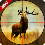 Deer Hunting 2019