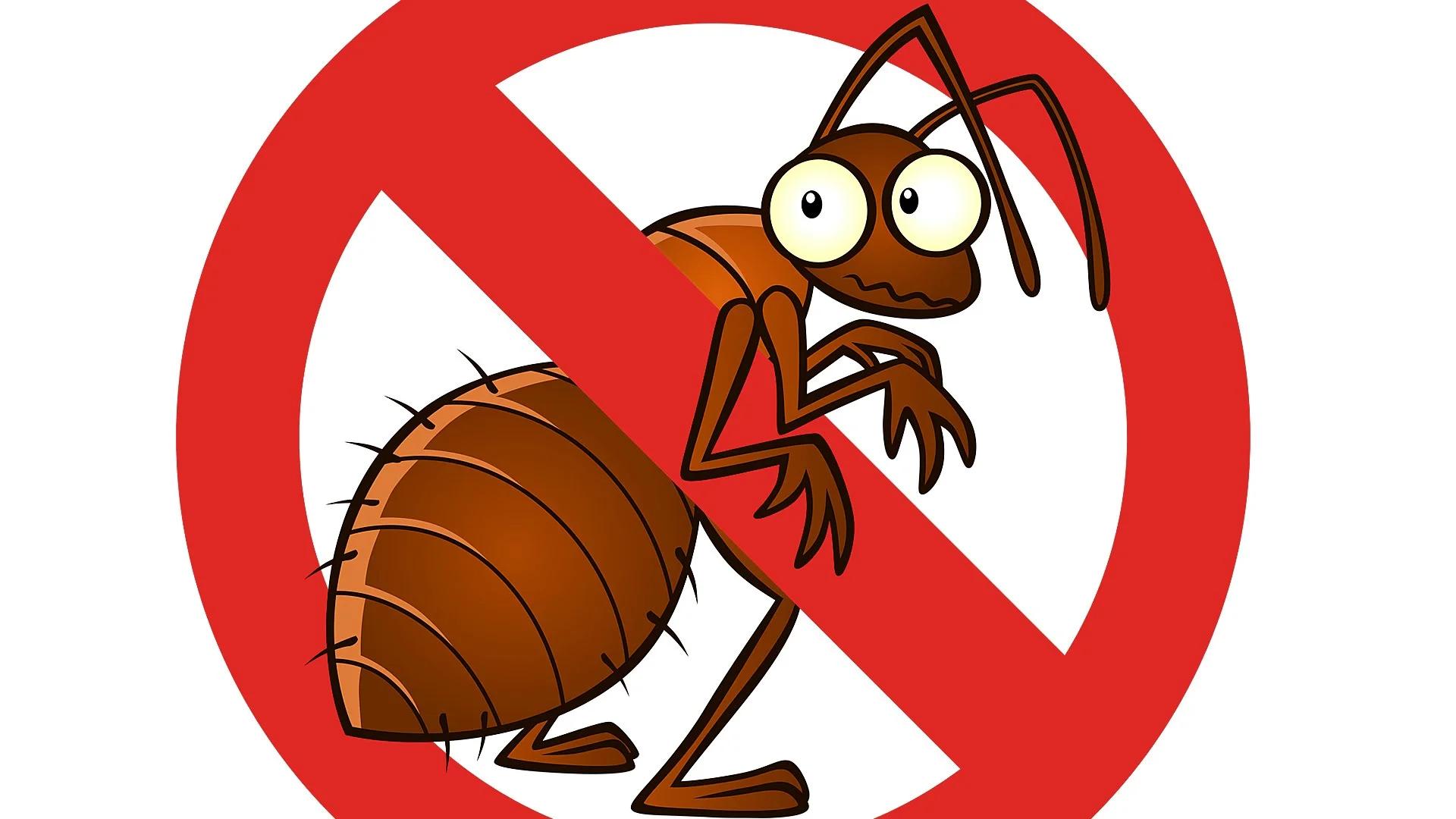 Осторожно мухи. Дезинсекция клопы тараканы муравьи. Стоп таракан. Борьба с насекомыми. Борьба с насекомыми и грызунами.