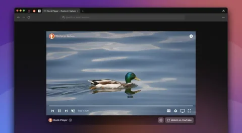 DuckDuckGo выпустила бета-версию фирменного защищенного браузера