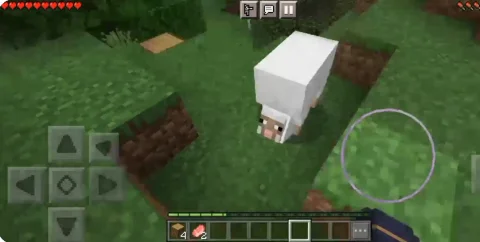 Minecraft 'Australian' Sheep Causes Reddit Controversy