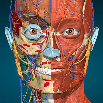 Anatomy Learning - 3D анатомический атлас