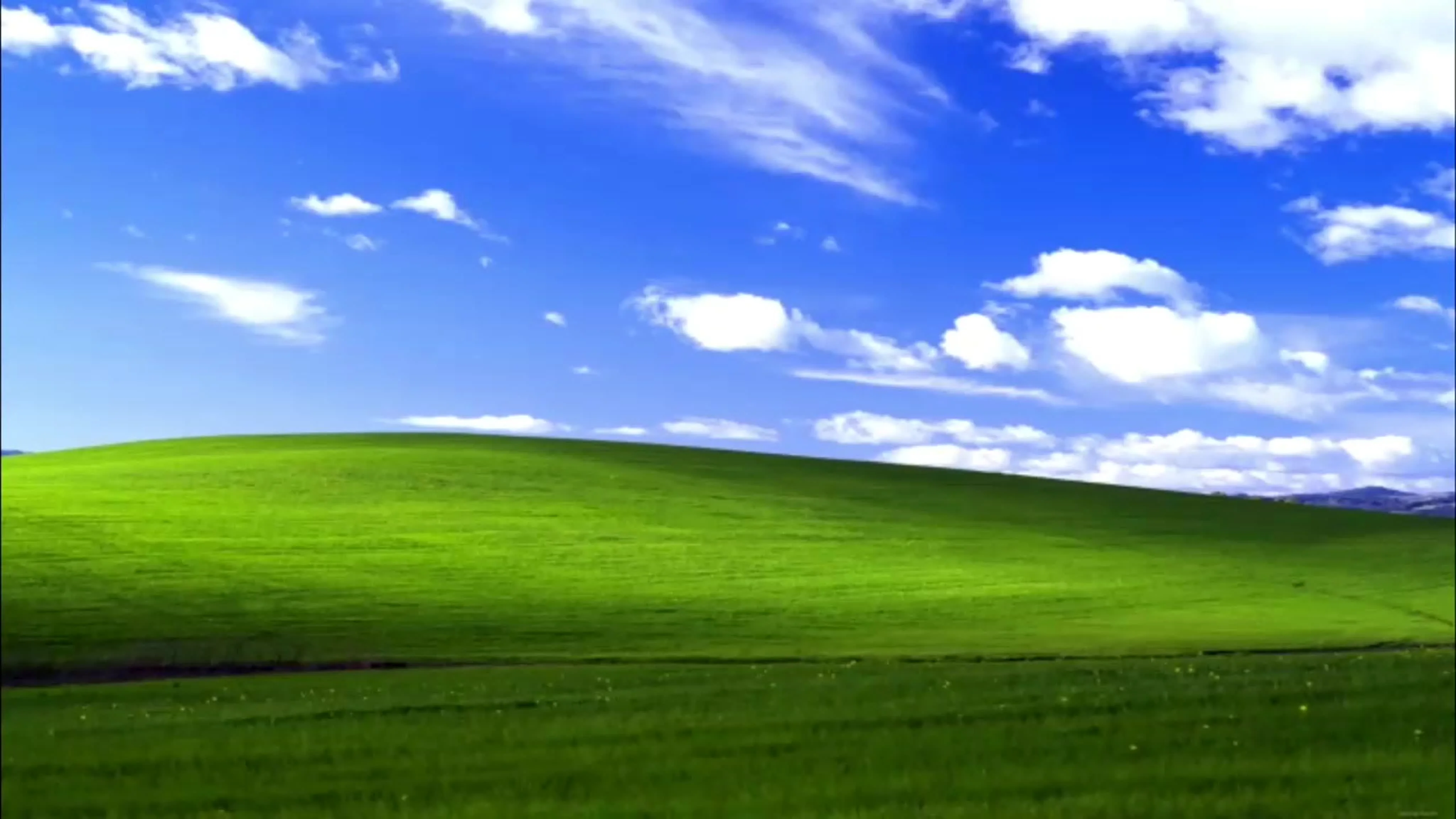 Microsoft выпустила свитер с знаменитым изображением рабочего стола Windows XP