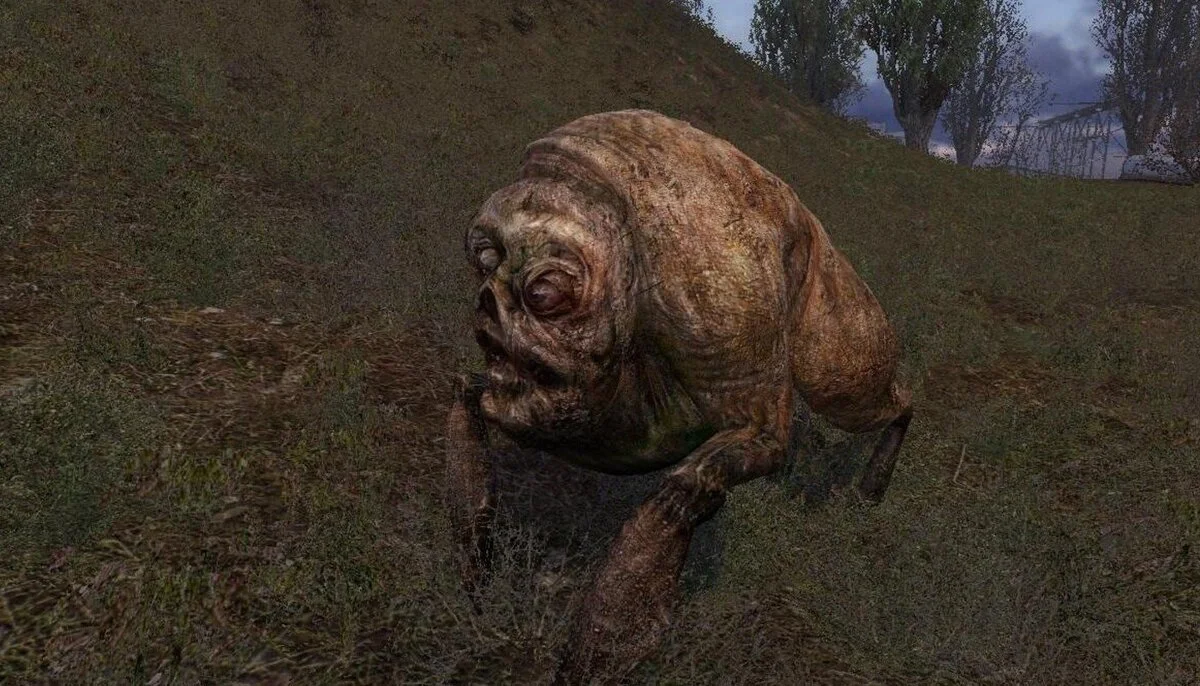 The creators of S.T.A.L.K.E.R. 2 showed an updated version of the mutant Flesh. The game also received an age rating