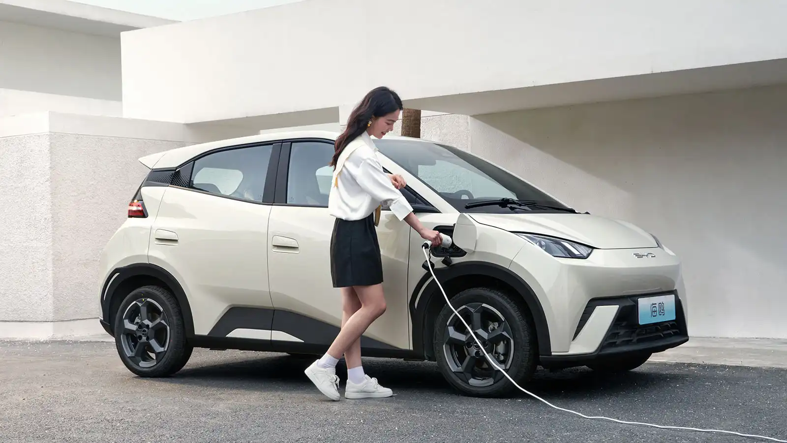 Electric cars outsell gasoline cars in China for the first time